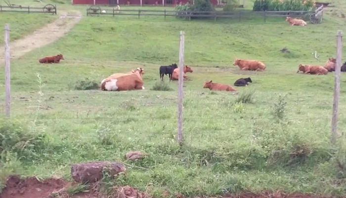 Posada Y Camping El Caudillo -  Mas Recientes - Sierra de Lunarejo