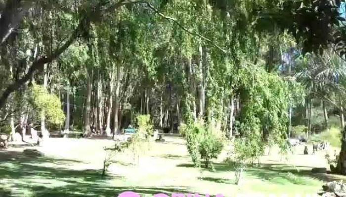 Posta De La Laguna -  De Los Visitantes - La Paloma