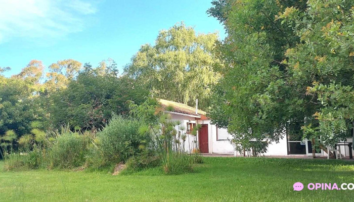 Posta De La Laguna -  Todas - La Paloma