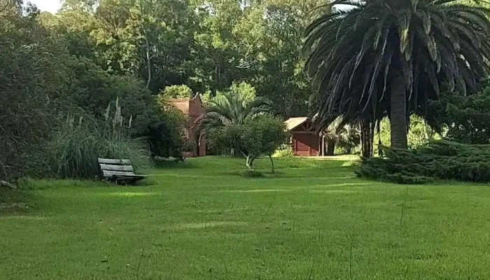 Posta De La Laguna -  Videos - La Paloma