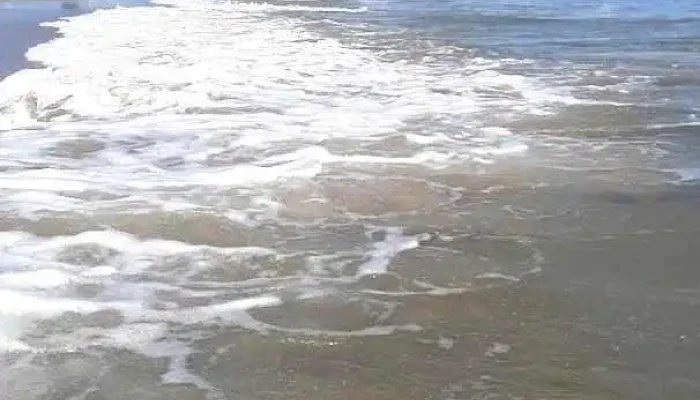 Posto 5 -  Mas Recientes - Punta del Este