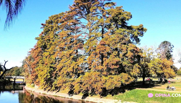 Prado -  Todas - Montevideo