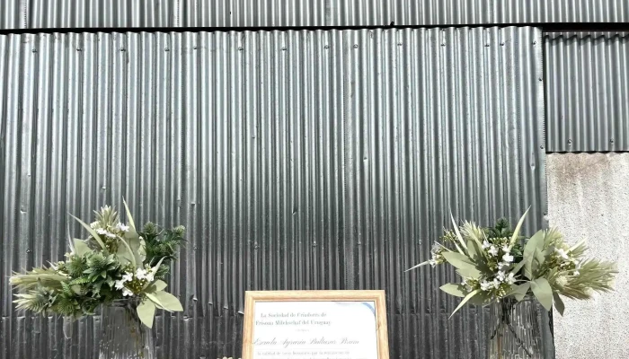 Predio Experimental Utu Agraria -  Videos - Baltasar Brum