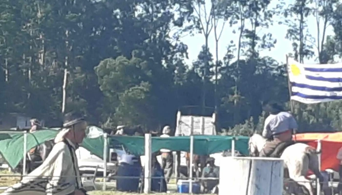 Predio Sauce A Caballo -  Cerca De Mi - Sauce