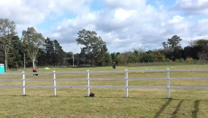 Predio Sauce A Caballo -  Donde - Sauce