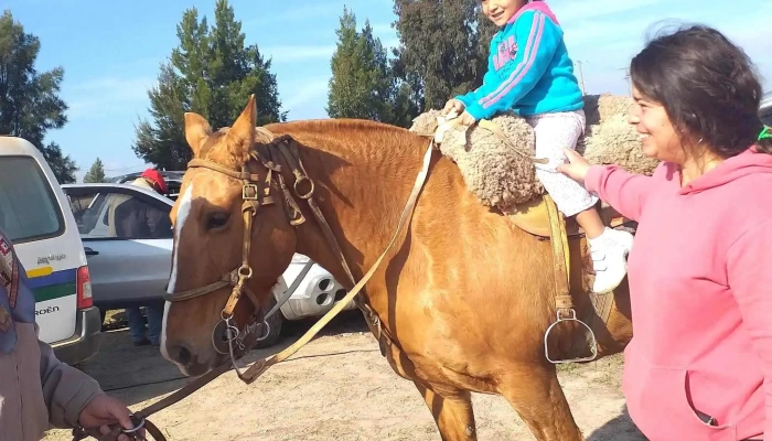 Predio Sauce A Caballo -  Horario - Sauce