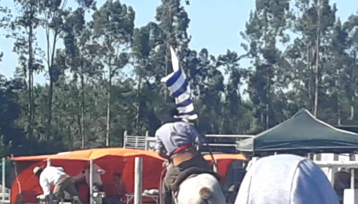 Predio Sauce A Caballo -  Precios - Sauce