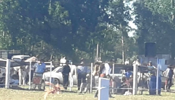 Predio Sauce A Caballo -  Promocion - Sauce