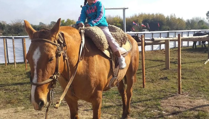 Predio Sauce A Caballo -  Telefono - Sauce