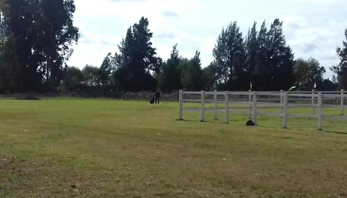 Predio Sauce A Caballo -  Videos - Sauce