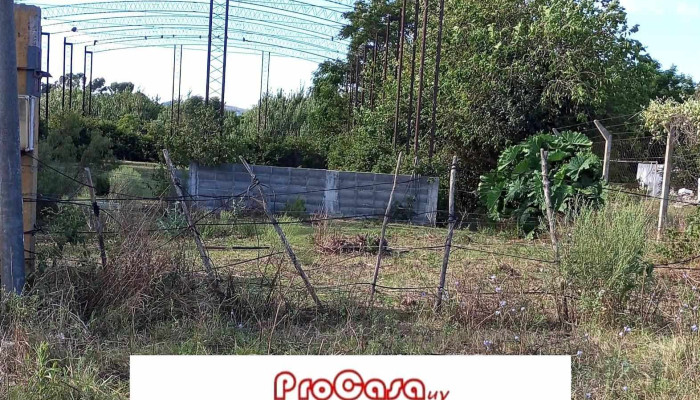 Procasauy Del Propietario - Montevideo