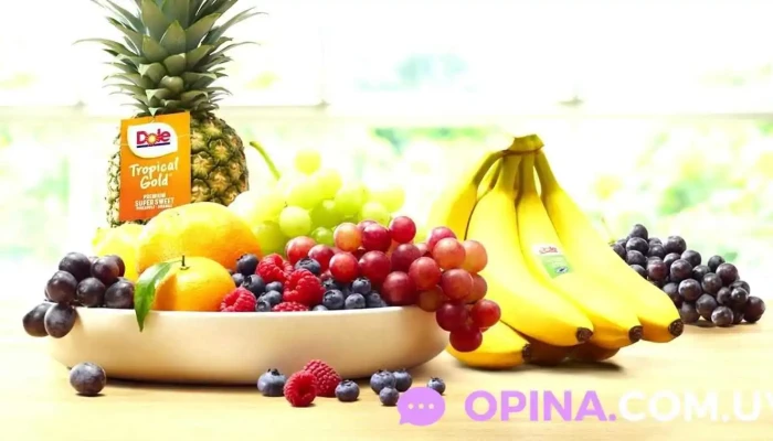 Proexur Srl - 11600 Montevideo