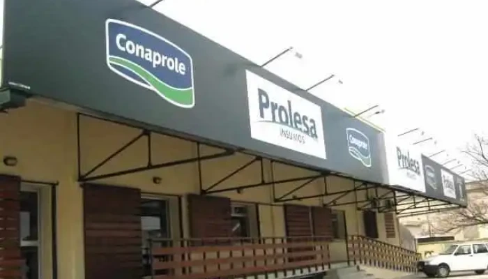 Prolesa San José - 80000 San José De Mayo