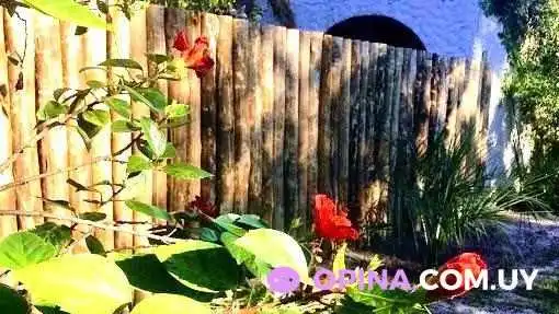 Propiedades Del Plata Servicio Integral -  Cerca De Mi - Ciudad de la Costa