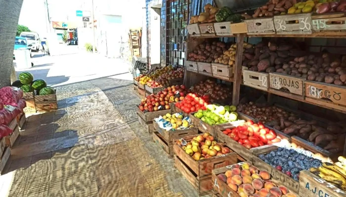 Provision La Amistad Interior - Tala