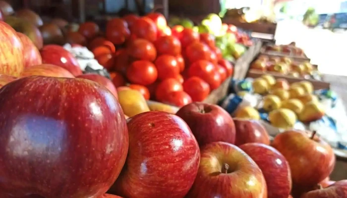 Provision La Amistad Todo - Tala