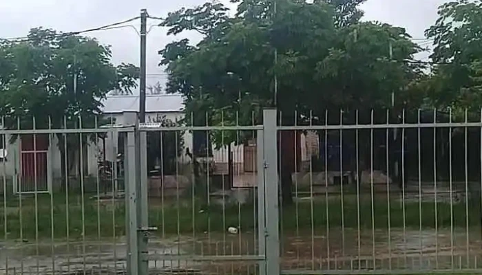 Provision La Lola 24 Horas Videos - Bella Unión