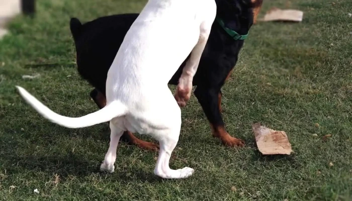 Provisión Mayge - 75100 Dolores