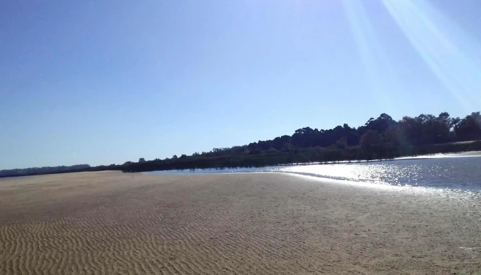 Provision Nanina Todo - Juan L. Lacaze