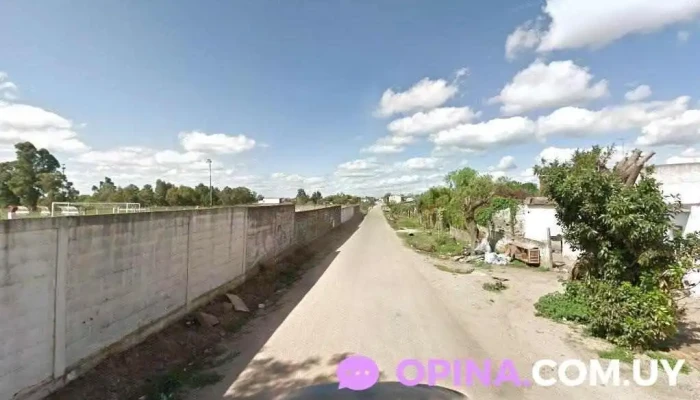 Provision Pichulo - Elias Regules