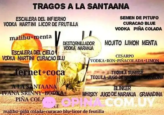 Proyecto Pub -  Menu - Santa Ana