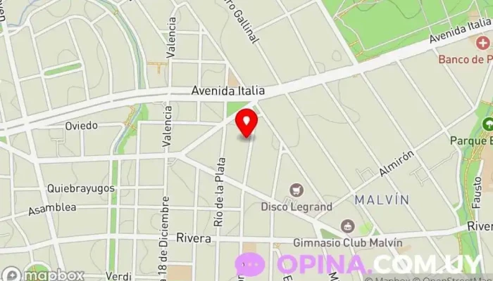 mapa de Psicologa Alejandra Dellepiane Clínica psiquiátrica en Montevideo