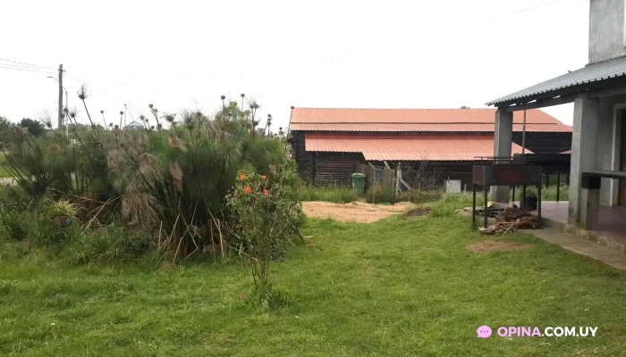 Pueblo Gitano 33 Todo - Treinta y Tres