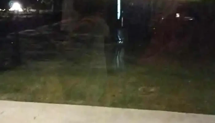 Pueblo Tannat -  Mas Recientes - Carmelo