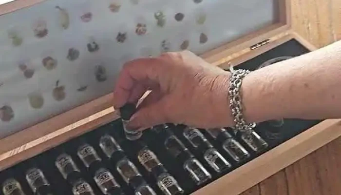 Pueblo Tannat -  Videos - Carmelo