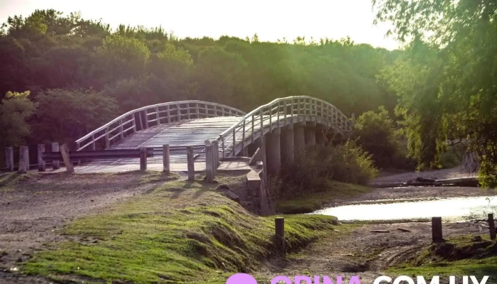 Puente Paso Real - Rocha