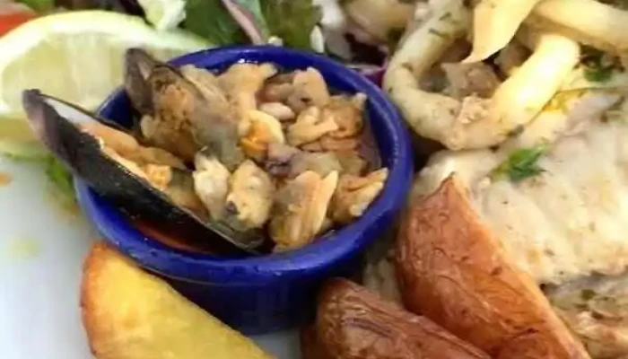 Puerto Canon River Bar Videos - Col. del Sacramento