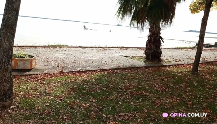 Puerto Carmelo -  River Bar Videos - Carmelo