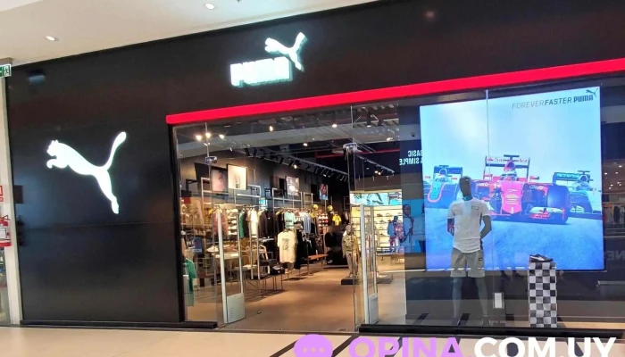 Puma - 11800 Montevideo