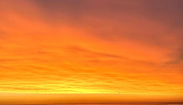 Punta Brava -  Comentario 2 - Montevideo