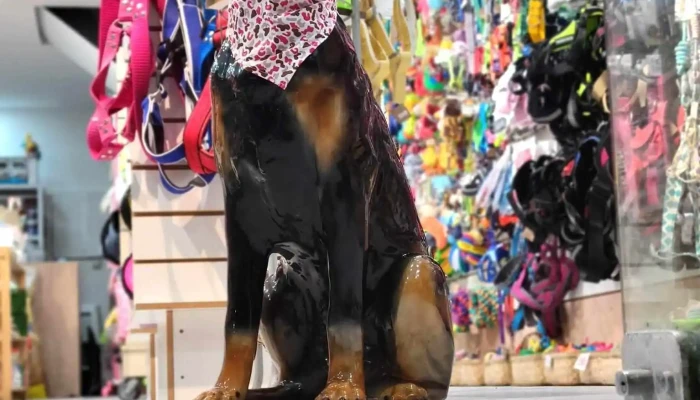 Punta del Este Dog Club - 20000 Punta Del Este