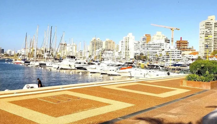 Punta Del Este -  Todo - Maldonado