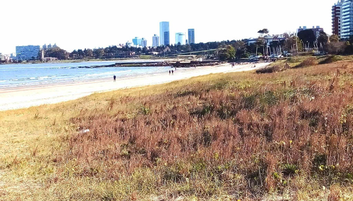 Punta Gorda -  Todo - Montevideo