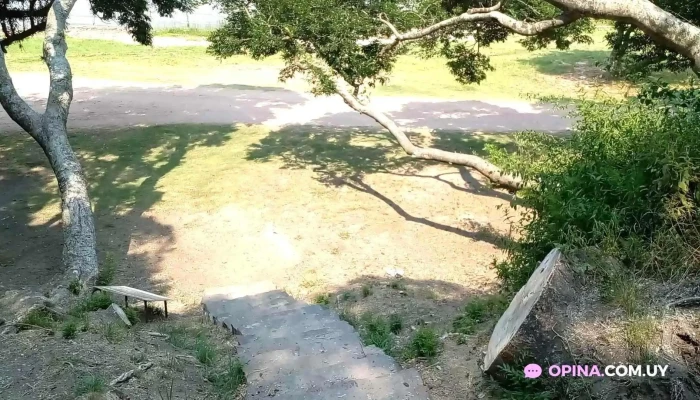 Punta Gorda -  Videos - Montevideo