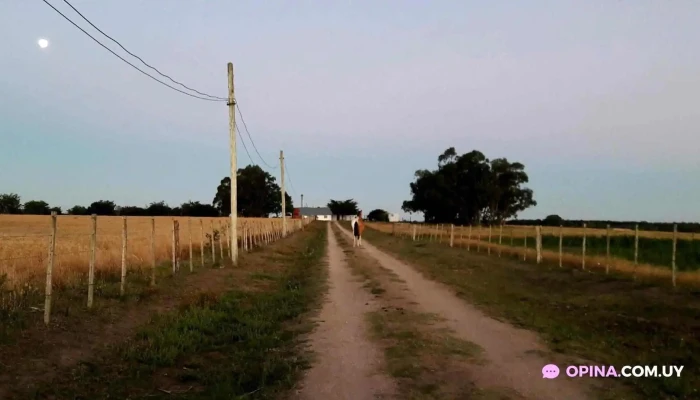 Puntas De Valdez -  Todo - Puntas de Valdez