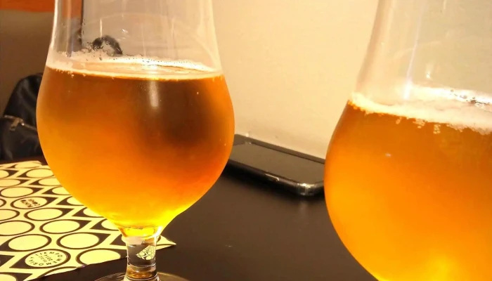 Punto Confi -  Comentario 7 - Rosario