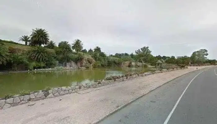 Punto Encuentro -  Todo - Montevideo