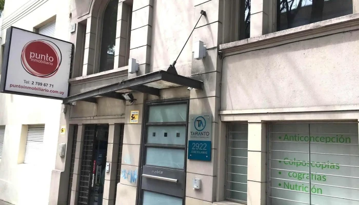 Punto Inmobiliario -  Zona - Montevideo