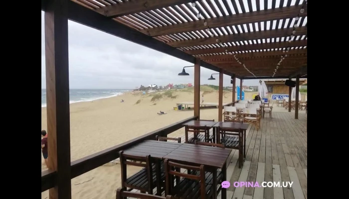 Punto Sur -  Ambiente - La Paloma