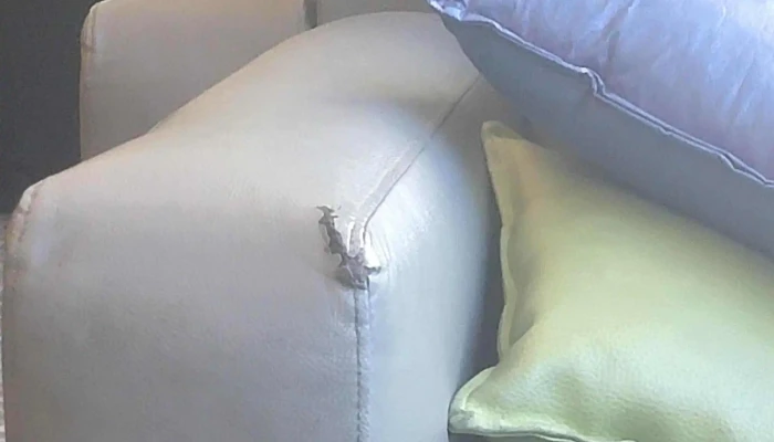 Pv Lounge -  Puntaje - Montevideo