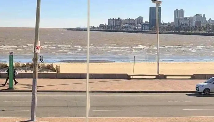 Pyg -  Videos - Montevideo