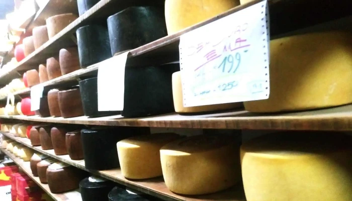 Quesería Quesema - 11800 Montevideo