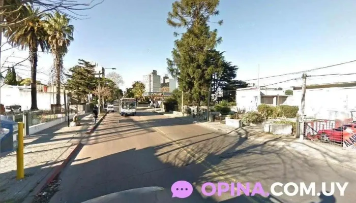 radio auto - Montevideo