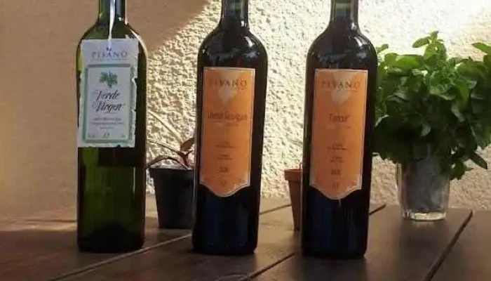 Raices Comida Y Bebida - La Pedrera