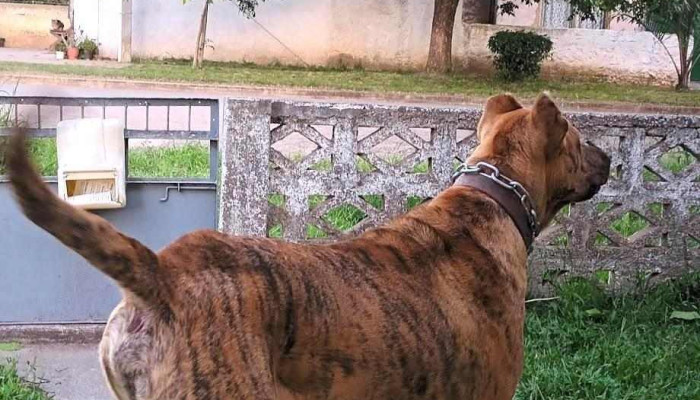 Raíces del Zucará - Atanasio Sierra