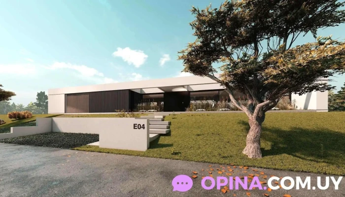 Raiz Propiedades Numero - Montevideo